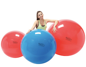 Wholesale General: Physio Balls