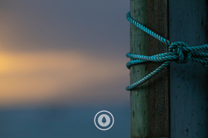 Fishing Knots Sentient Imagery
