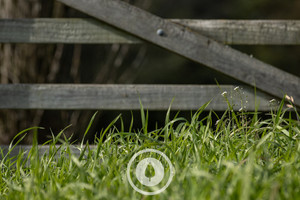 Products: Pasture at Gate's Latch Sentient Imagery