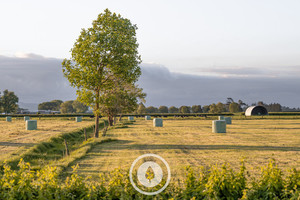 Products: October Bales Sentient Imagery