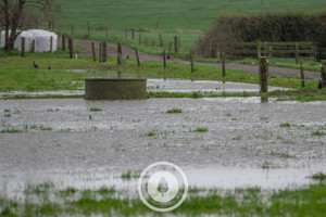 Waterlogged Sentient Imagery