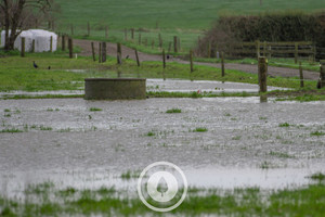 Products: Waterlogged Sentient Imagery