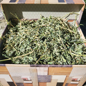 Products: Lucerne chaff by the kg for hutch animals serendipityequine