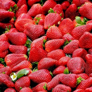 Bulk Strawberries Whole