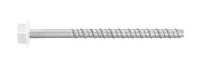 Bottom Plate Screw Bolt - White Head