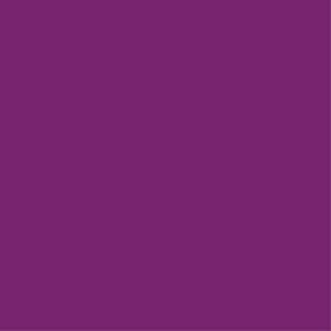 Accessories: Brother ET869N EMBROIDERY THREAD 869 - ROYAL PURPLE