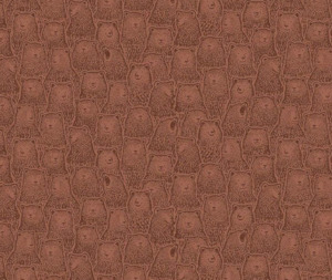 Got Wood? 100% Cotton Fabric - 10cm Increments