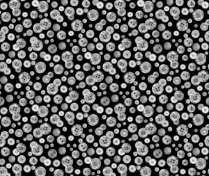 Fabric Lover 100% Cotton Fabric - 10cm Increments