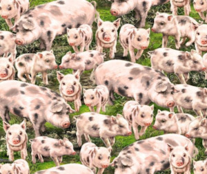 Farmyard 100% Cotton Fabric - 1/2 Metre