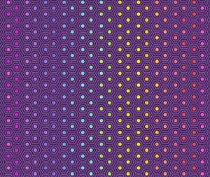 Tula Pink Fabrics: Tula Pink - Hexy Rainbow Starling - 0.1m 100% Cotton Fabric