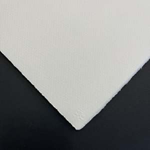 Artist Paper: Saunders Rough - 300g Sheet 56 x 76cm ROUGH