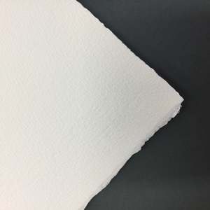 Arches Rough - Natural - 300g Sheet 56 x 76cm ROUGH