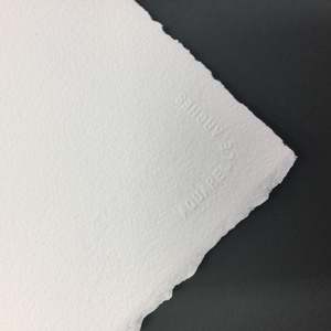 Artist Paper: Arches Rough - Bright White - 300g Sheet 56 x 76cm ROUGH