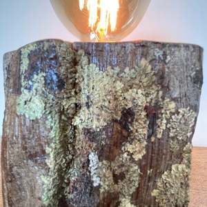 Our Favourites For Promotion Collection: Lichen Wood Table Lamp | Handcrafted Tōtara Lamp #183
