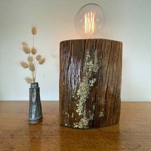 Handcrafted Wood Table Lamp with Natural Lichen | Rustic Edison Bulb Lamp #188