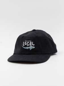 LOCALS 6 PANEL