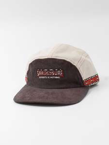 EXPERTS 5 PANEL
