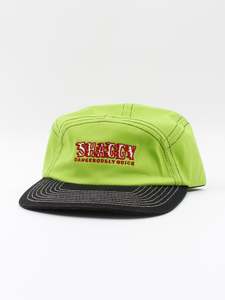 QUICK 5 PANEL