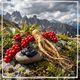 Vitality & Strength Blend