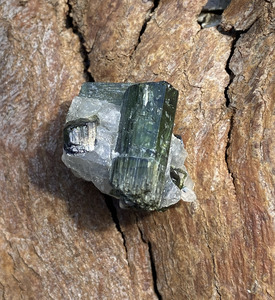 Specimen Crystals: Green Tourmaline in Quartz 2