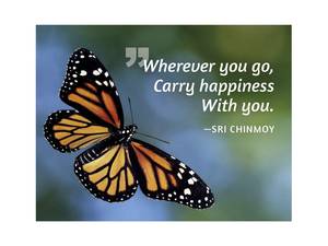 Oracle Cards: Inspiration Magnet