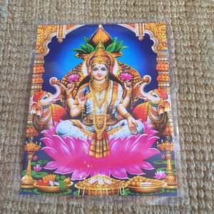 Decorations: Medium Laminated Pictures