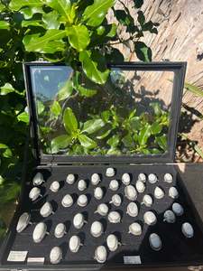 Jewellery: Moonstone Ring