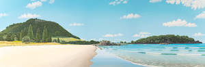 Products: Mount Maunganui and Moturiki Island