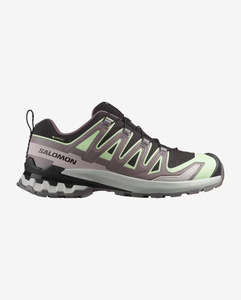 Womens Footwear Hiking Boots And Shoes: Salomon Womens XA Pro 3D V9 GTX Shoes