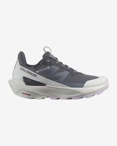Womens Footwear Hiking Boots And Shoes: Salomon Womens Elixir Activ GTX
