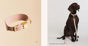 Pets Fur Babies: Ollie & James - Blush Pink Collar