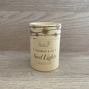 Gift Giving: Charge and Go Silver Seed Lights - 3m