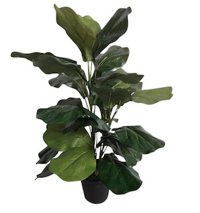 Faux Plant - Potted Fiddle Tree 69cm