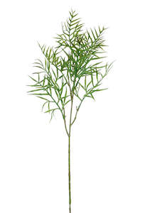 Faux Plant - Grevillea Leaf Spray