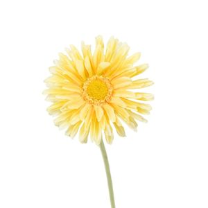 Faux Plant - Single Gerbera | Yellow