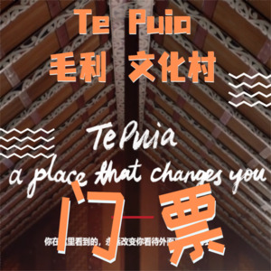 Products: Te Puia毛利文化村门票 – SHENGXIN TRANSPORT 中文taxi