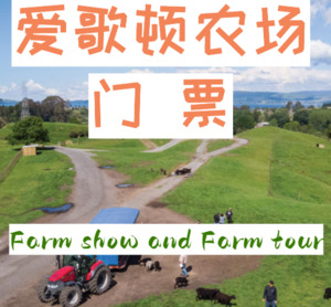 爱歌顿农场门票 – SHENGXIN TRANSPORT 中文taxi