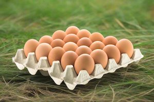 Shevington Farm Size 8 Free Range Eggs in Trays - 20 large eggs
