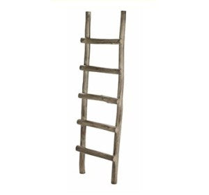 Vintage Ladder
