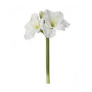 Home Decor: Faux Giant Amaryllis