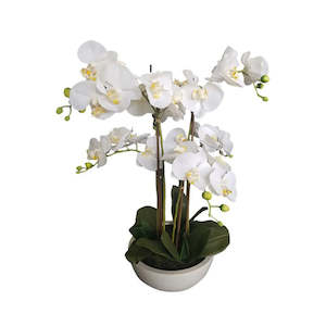 Sale: Faux Potted Phalaenopsis Orchid