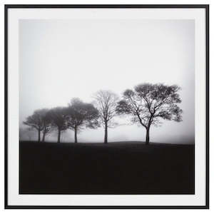 Art Work - Misty Trees