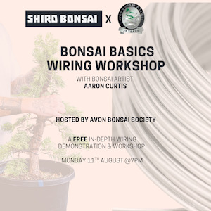 Workshops: Bonsai Basics Wiring Workshop - CHC Botanic Gardens