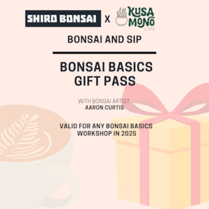 Workshops: Beginners Juniper Workshop- WORKSHOP GIFT PASS