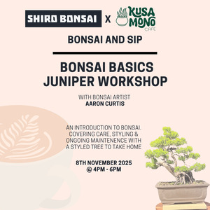 Bonsai Basics Juniper Workshop- 8th November
