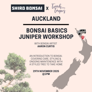 Bonsai Basics Juniper Workshop- 29th November @1pm