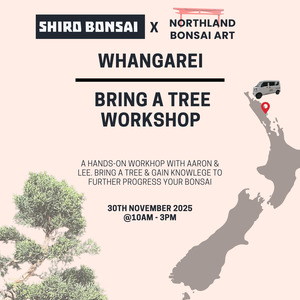 Workshops: Bring a Tree Workshop- 30th November @10am