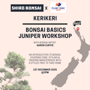Bonsai Basics Juniper Workshop- 1st December @2pm