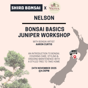 Bonsai Basics Juniper Workshop- 24th November @4:30pm