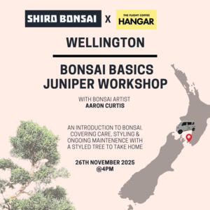Bonsai Basics Juniper Workshop- 26th November @4pm